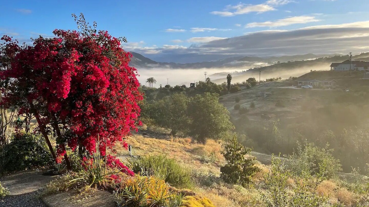 Photo of Outdoor in Fallbrook