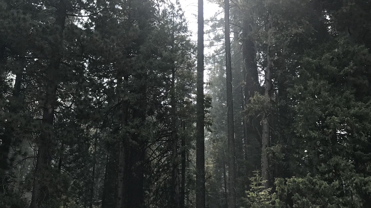 Photo of Outdoor in Strawberry