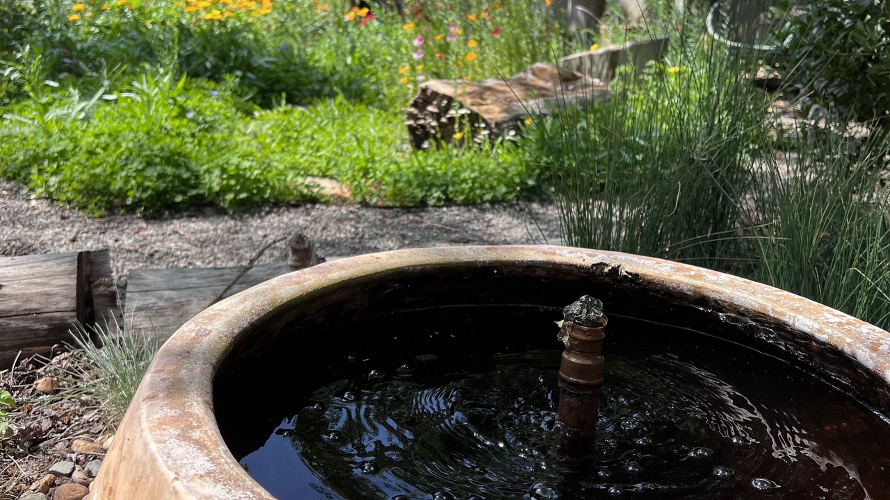 Photo of Outdoor in Glen Ellen