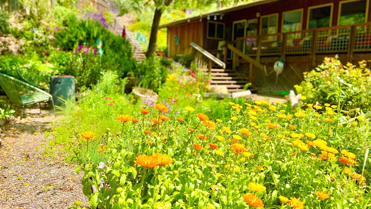 Photo of Outdoor in Glen Ellen