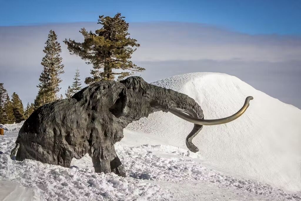 Photo of Others in Mammoth Lakes