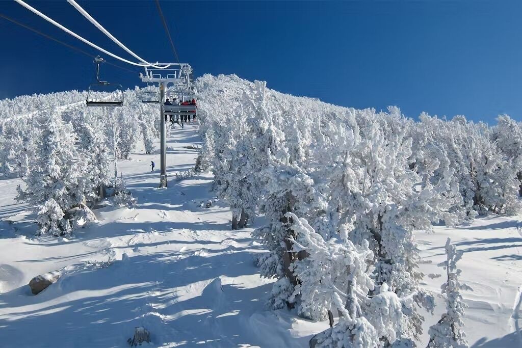 Photo of Others in Mammoth Lakes