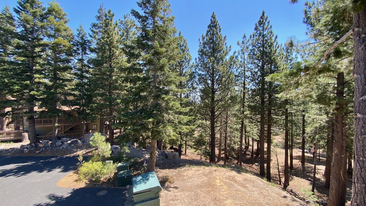 Photo of Others in Mammoth Lakes