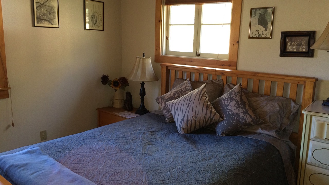 Photo of Bedroom in Douglas City