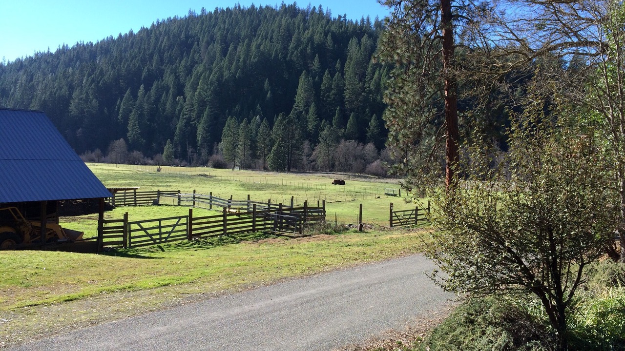 Photo of Outdoor in Douglas City