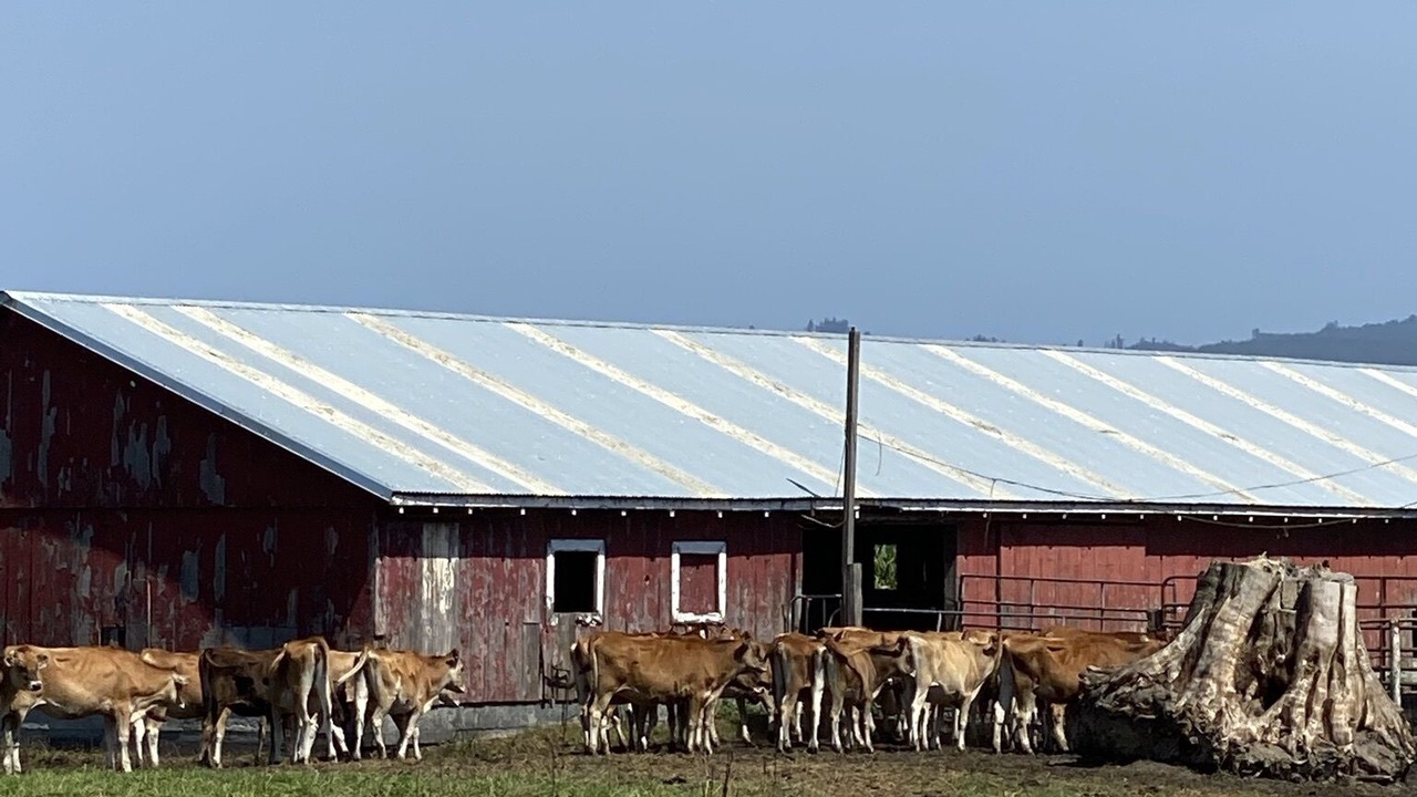 Photo of Outdoor in Ferndale