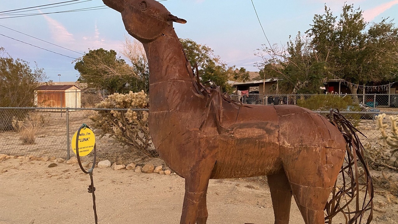 Photo of Others in Joshua Tree