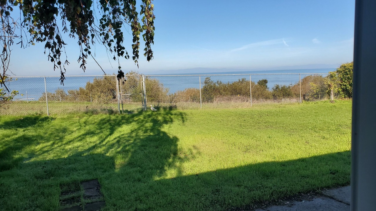 Photo of Outdoor in San Pablo