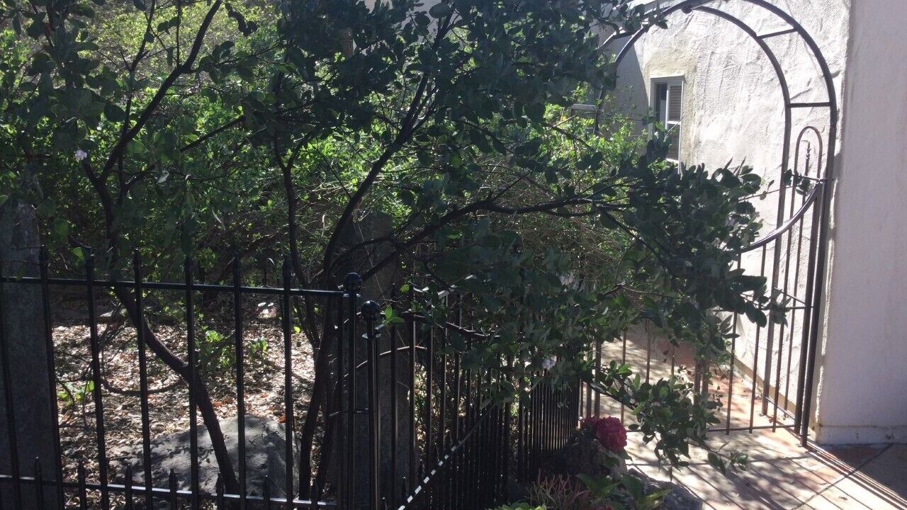 Photo of Outdoor in Ramona