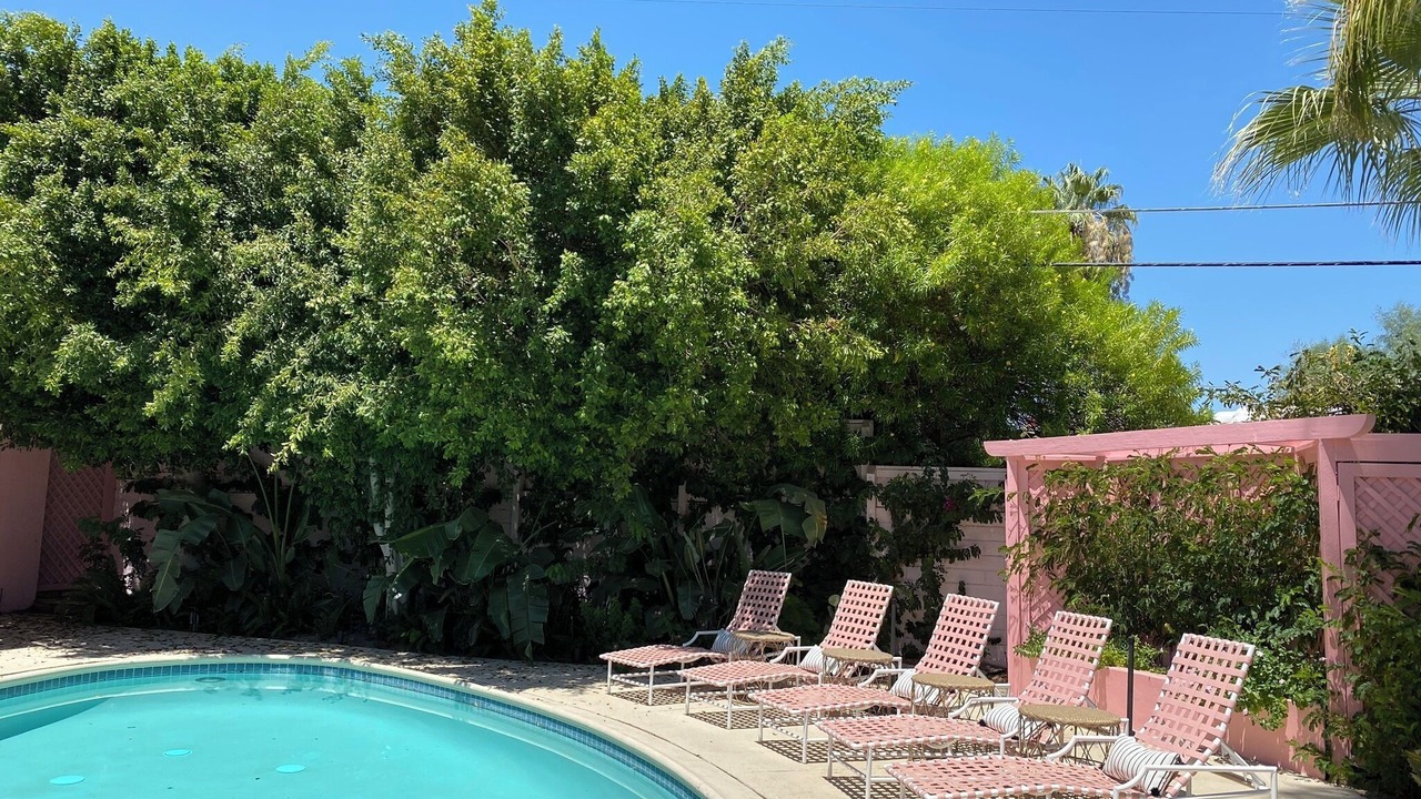 Photo of Outdoor in Tahquitz River Estates