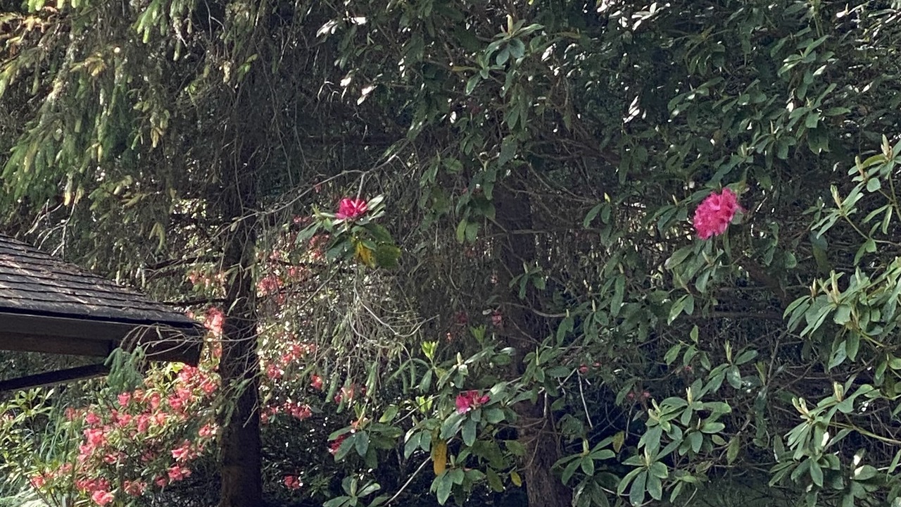 Photo of Outdoor in Trinidad