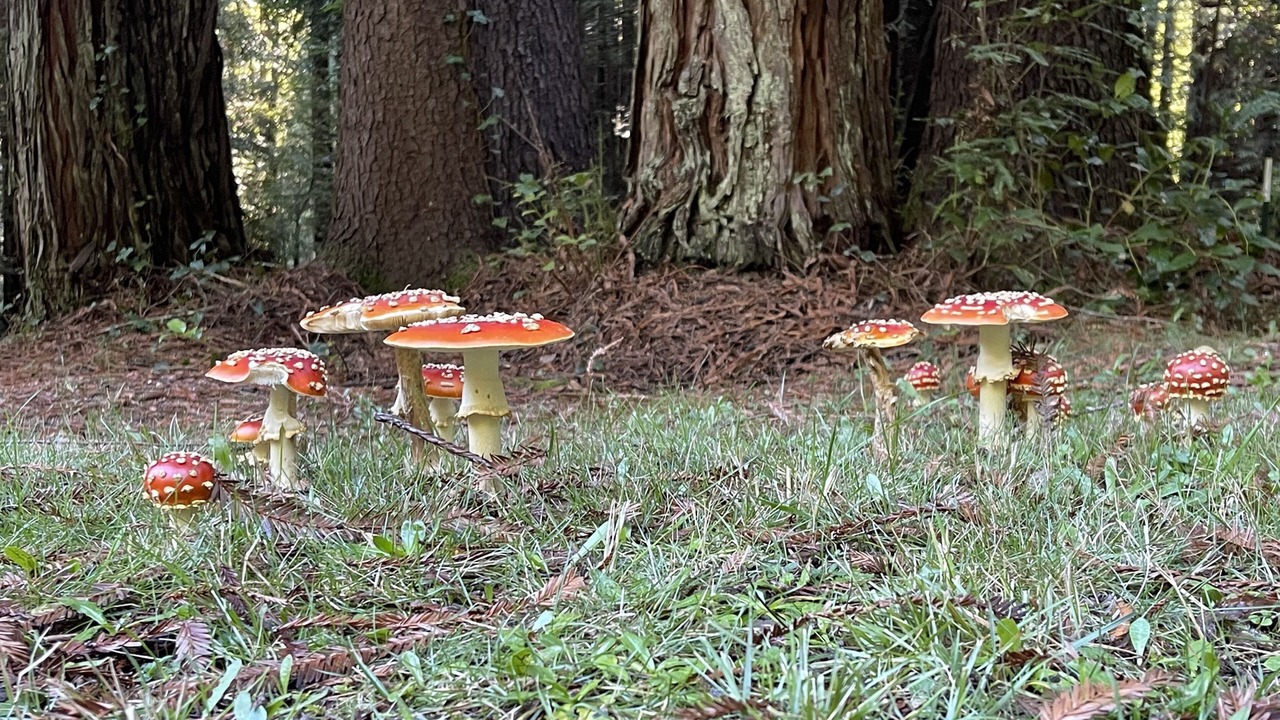 Photo of Outdoor in Trinidad