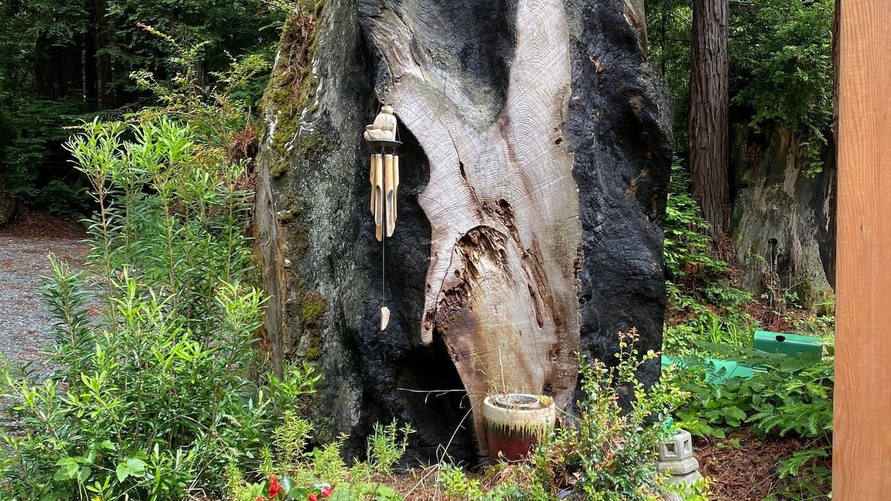 Photo of Outdoor in Trinidad