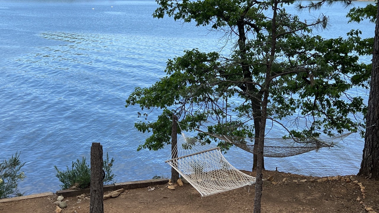 Photo of Others in Lakehead