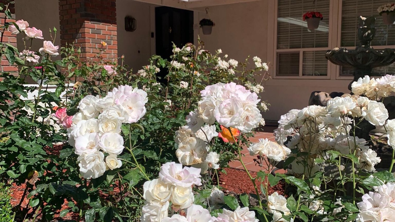 Photo of Outdoor in Pleasanton
