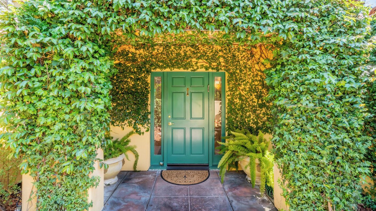 Photo of Outdoor in Bel Air