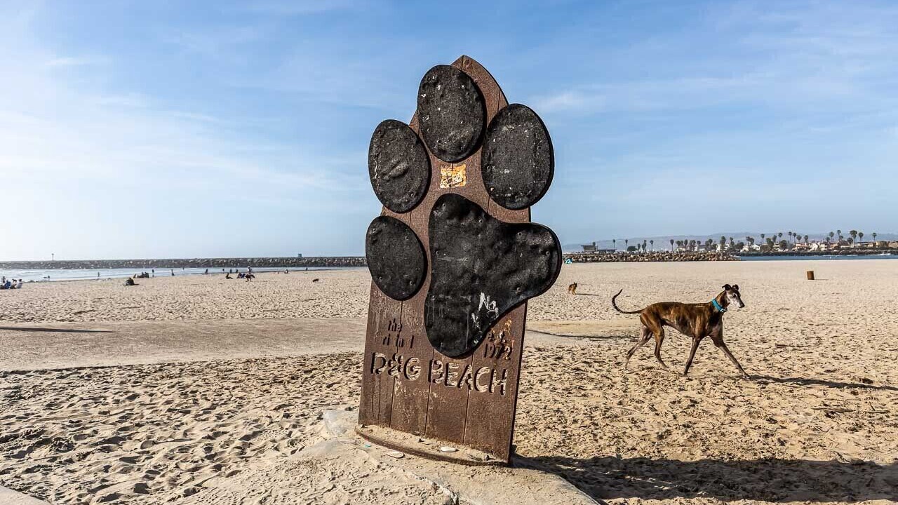 Photo of Others in Ocean Beach