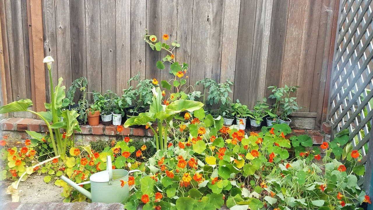 Photo of Outdoor in San Bruno