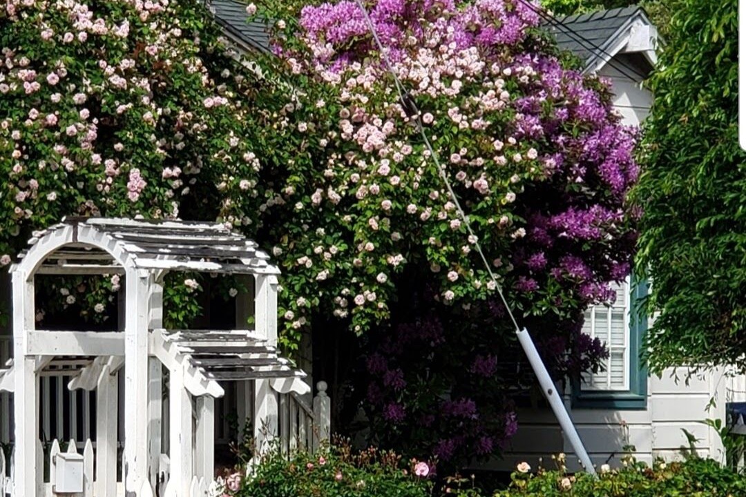 Photo of Outdoor in San Bruno