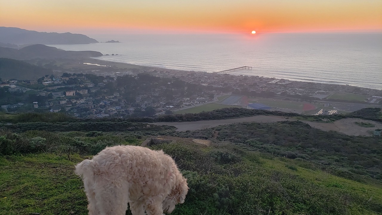 Photo of Outdoor in San Bruno