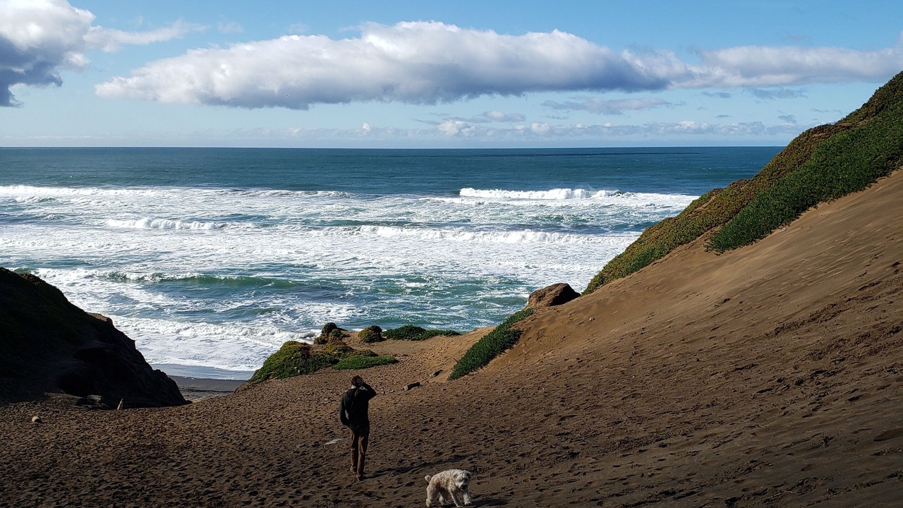 Photo of Others in San Bruno