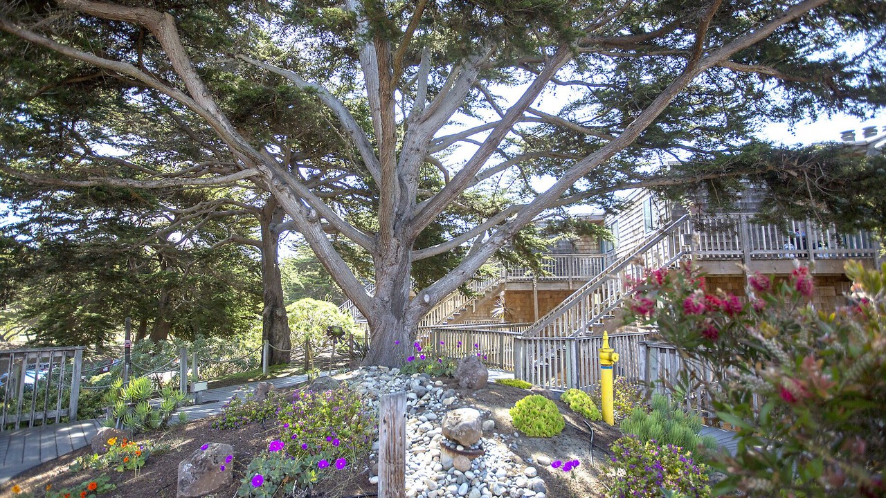Photo of Outdoor in La Selva Beach
