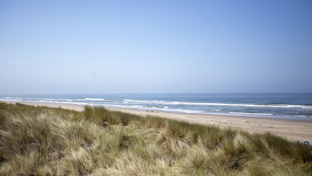 Photo of Others in La Selva Beach