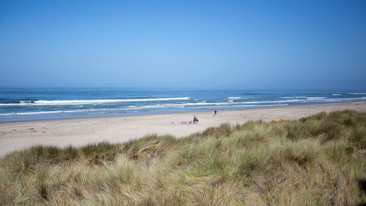Photo of Others in La Selva Beach