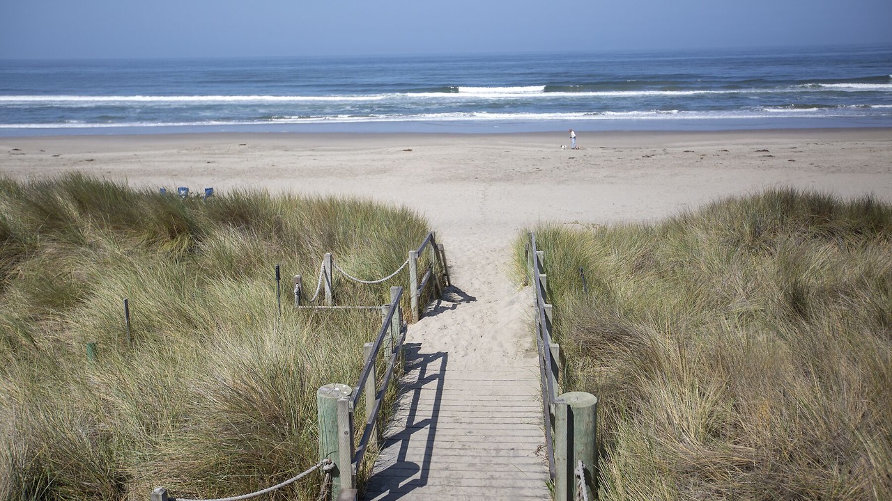 Photo of Others in La Selva Beach