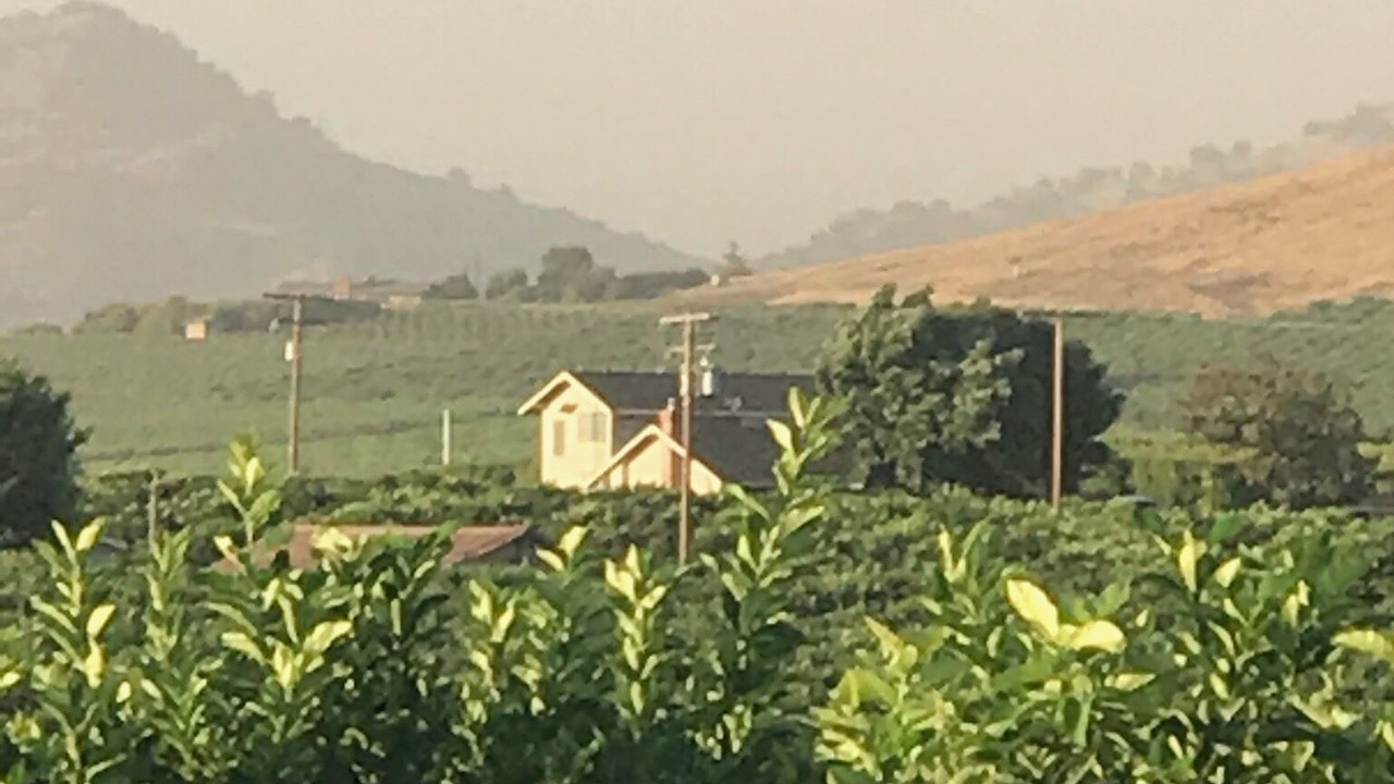 Photo of Others in Porterville