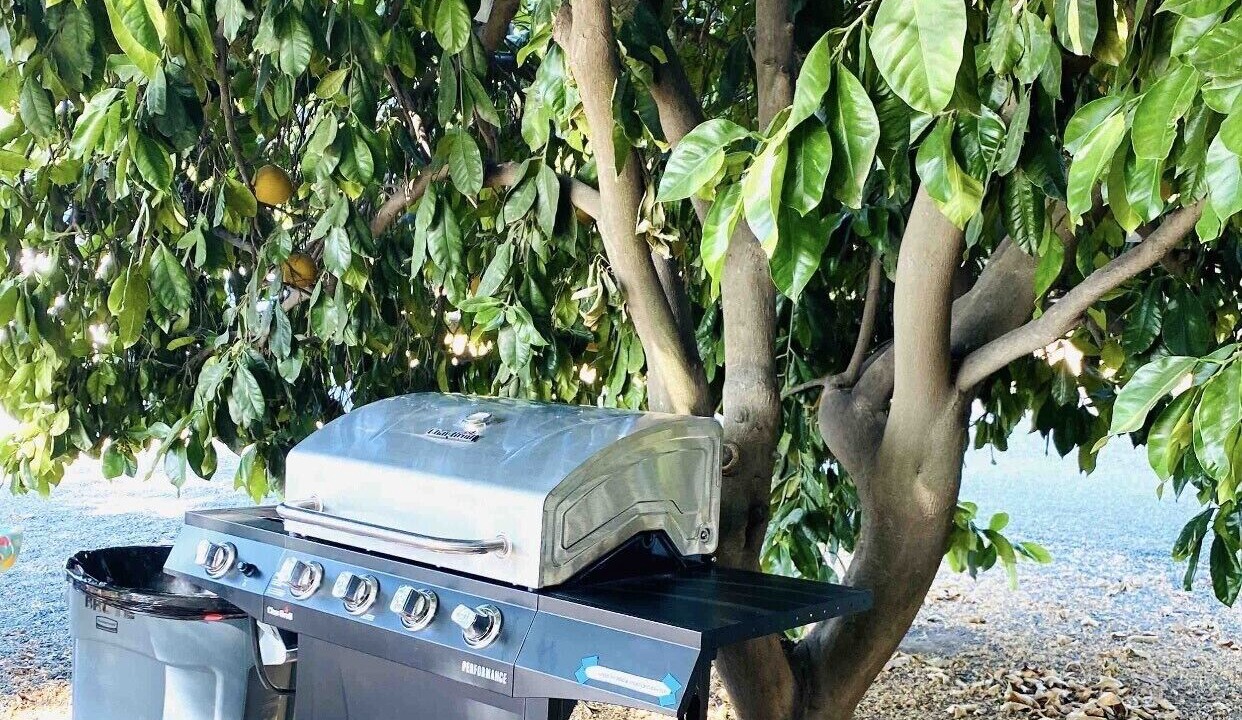 Photo of Others in Porterville