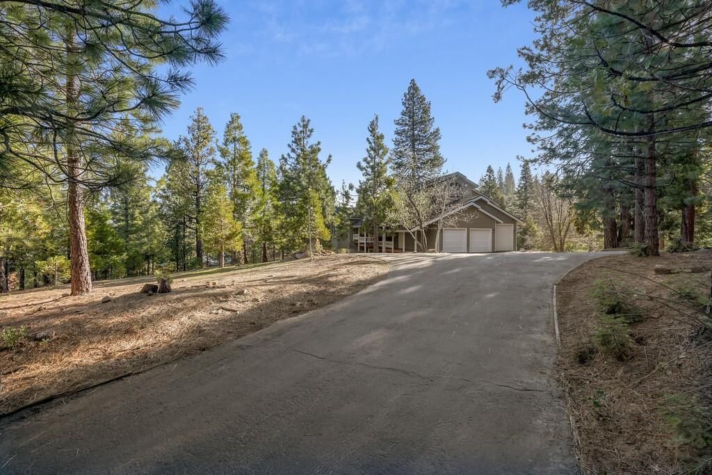 Photo of Outdoor in Shaver Lake