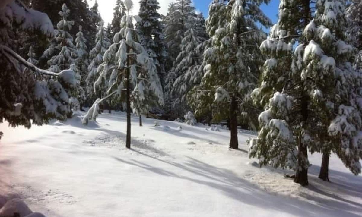 Photo of Others in Shaver Lake