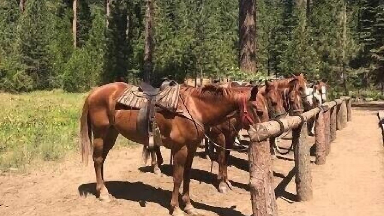 Photo of Others in Shaver Lake