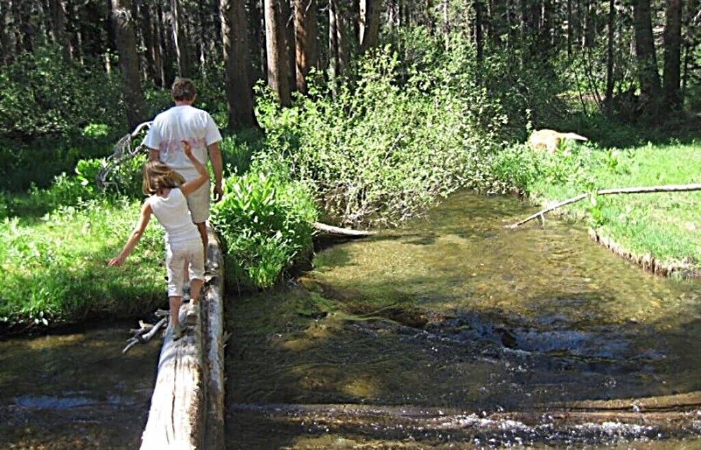 Photo of Others in Mammoth Lakes