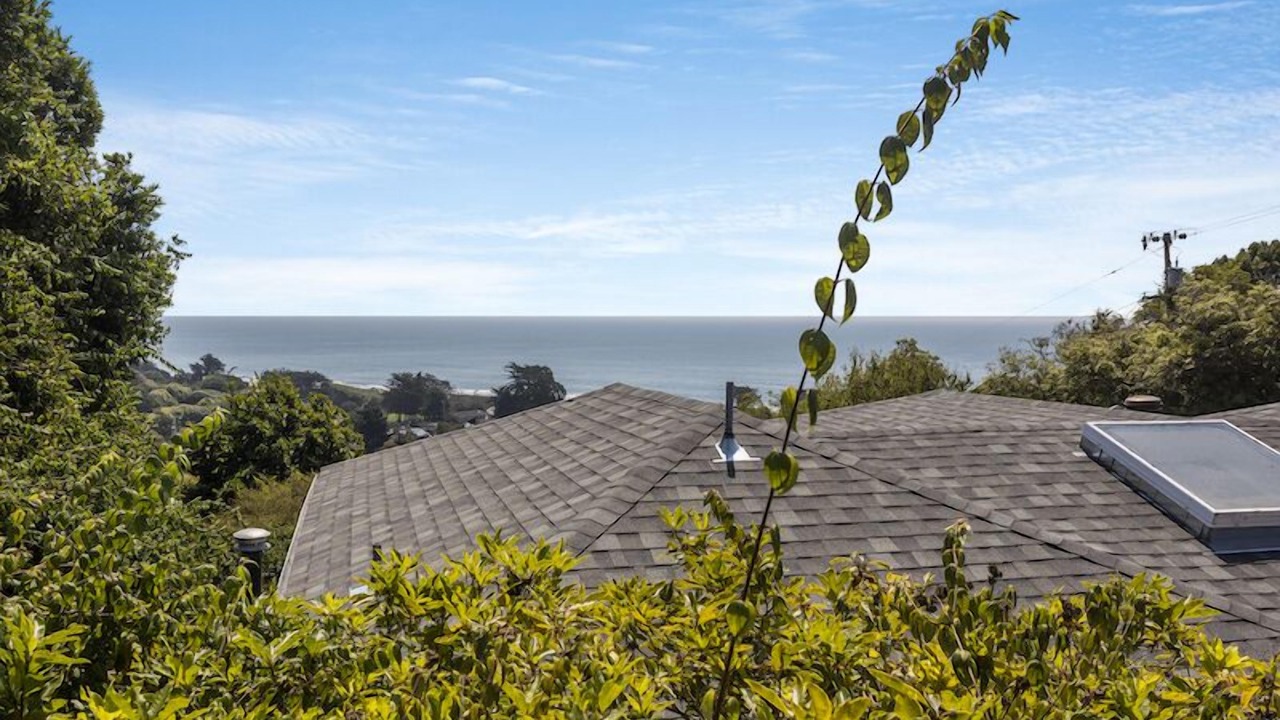 Photo of Others in Stinson Beach