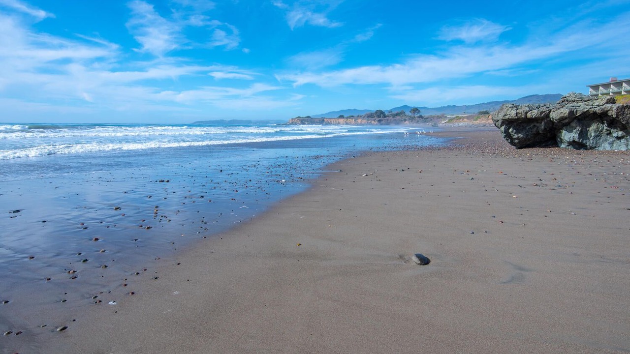 Photo of Others in San Simeon