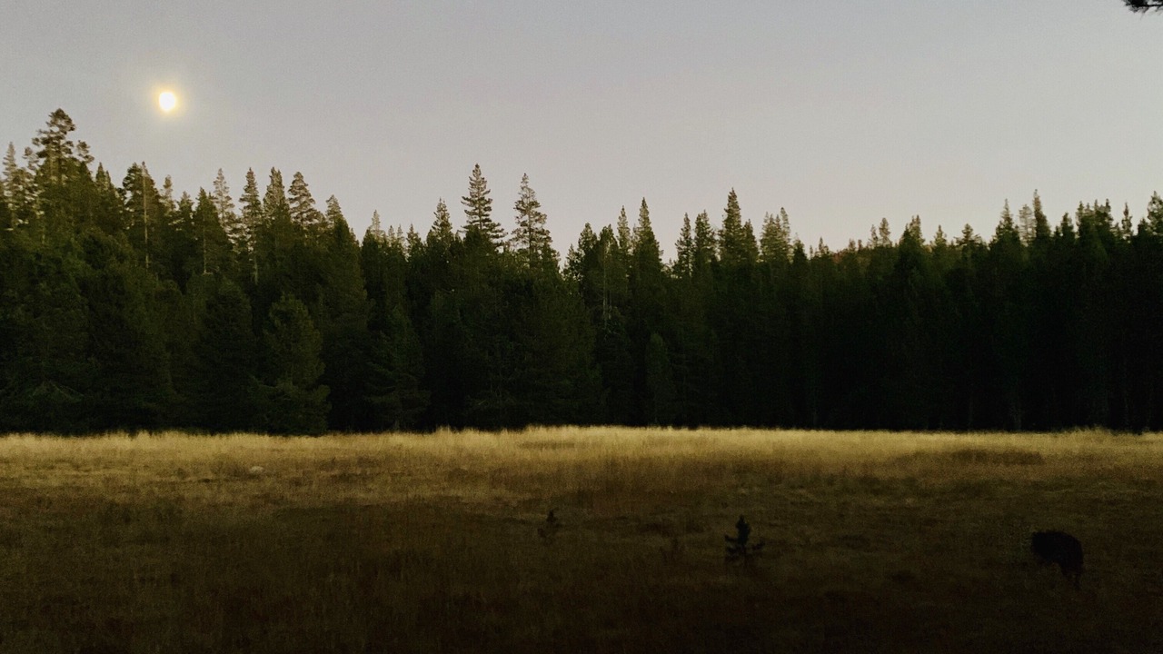Photo of Outdoor in Serene Lakes