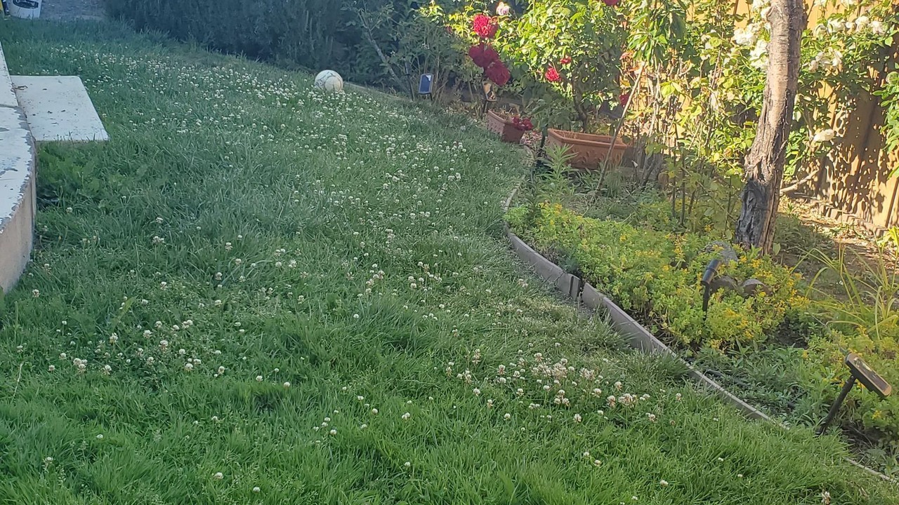 Photo of Outdoor in San Carlos