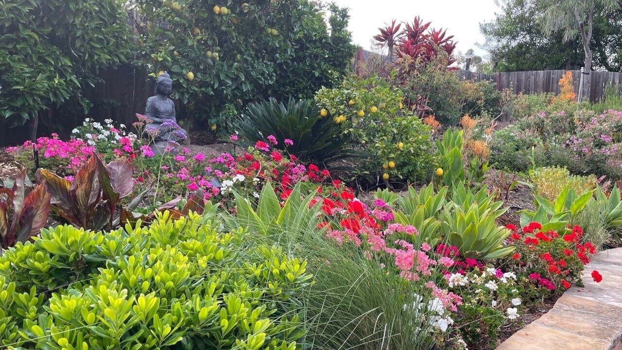 Photo of Outdoor in Encinitas