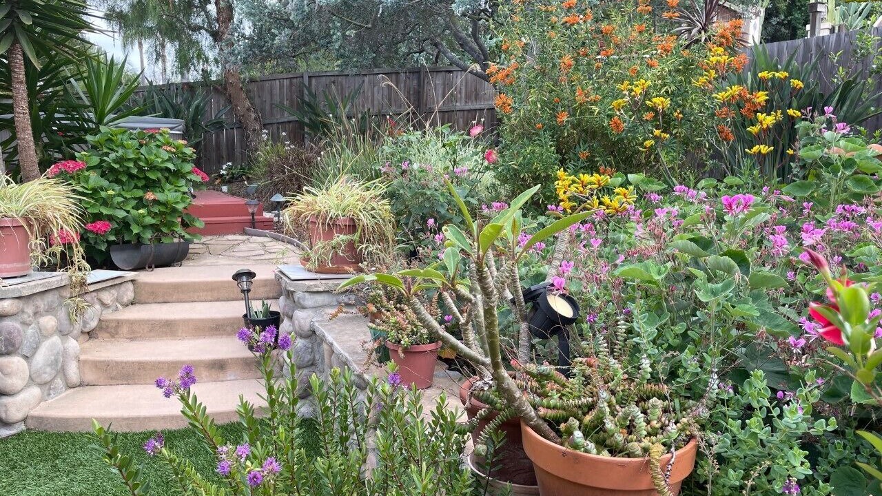 Photo of Outdoor in Encinitas