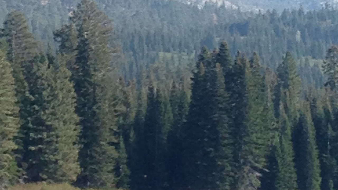 Photo of Outdoor in Shingletown