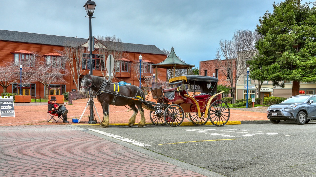 Photo of Outdoor in Eureka