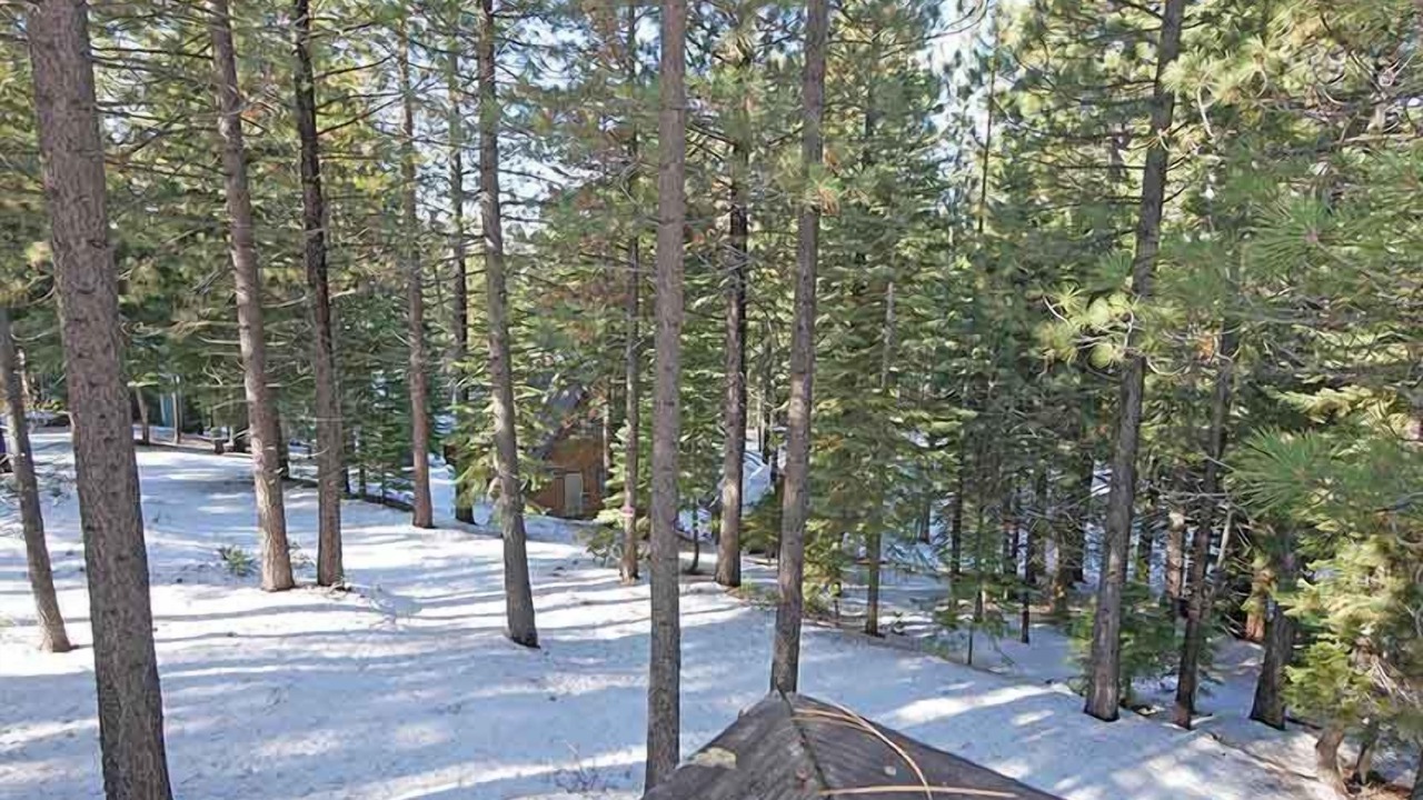 Photo of Others in Pioneer Trail