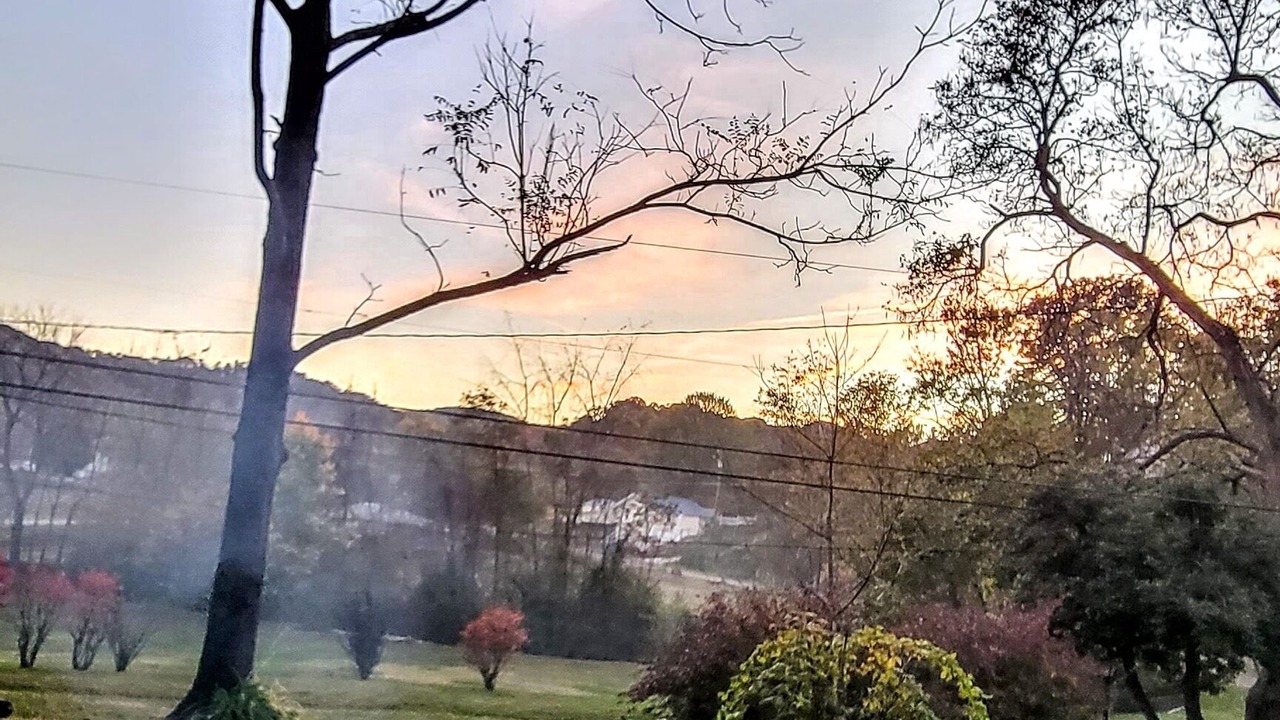 Photo of Others in Candler