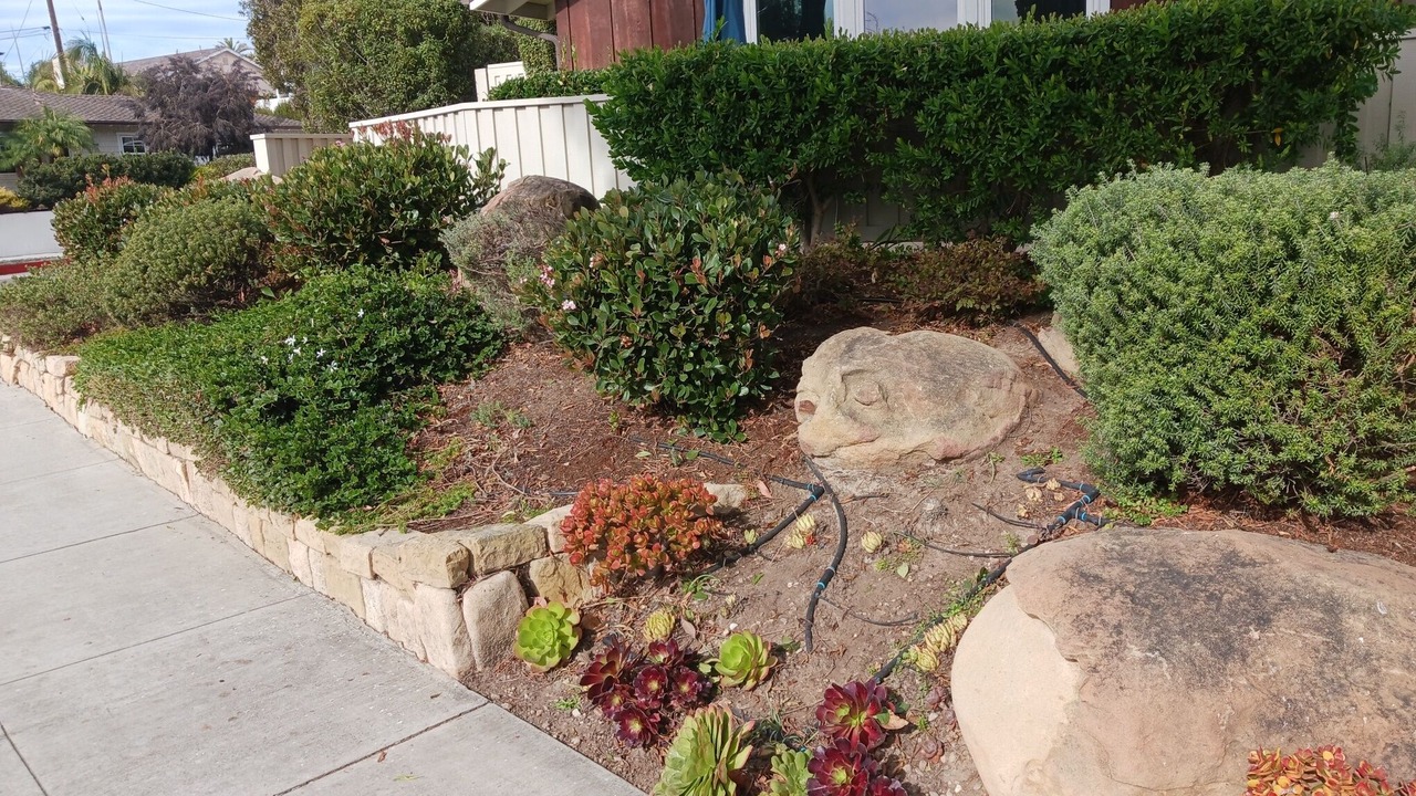 Photo of Outdoor in The Mesa