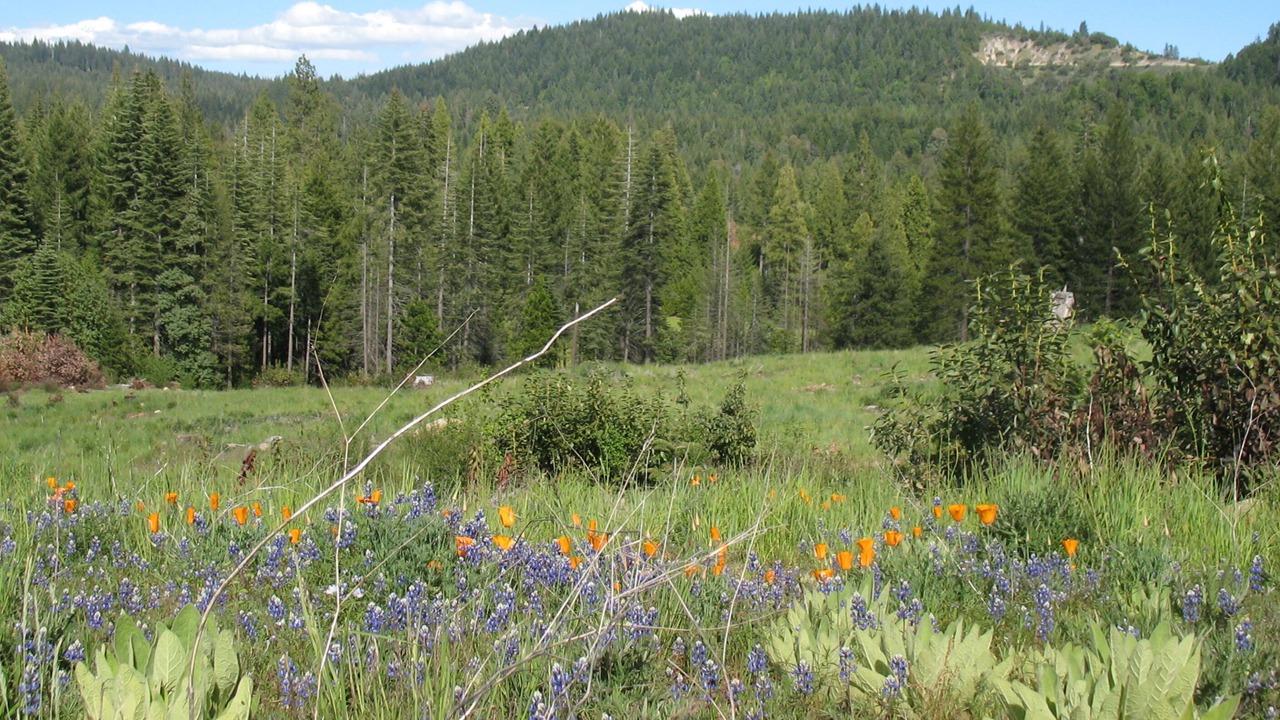 Photo of Outdoor in Nevada City