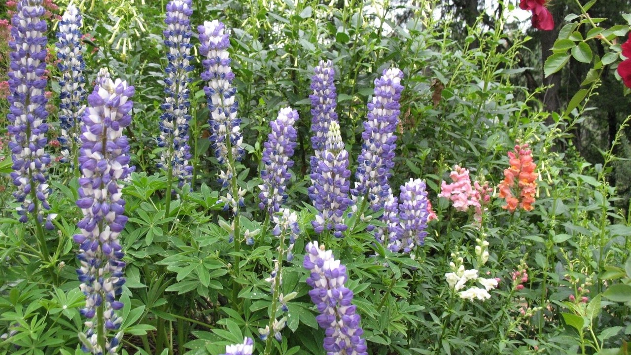Photo of Outdoor in Nevada City