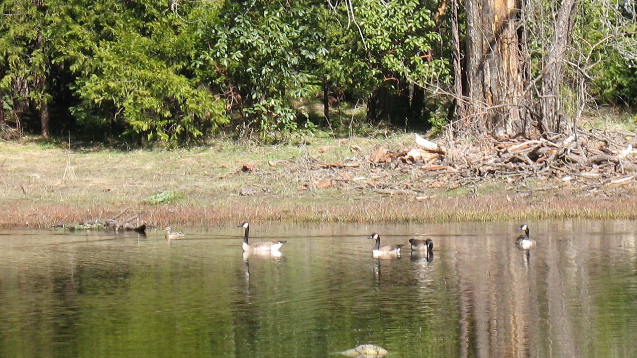 Photo of Others in Nevada City