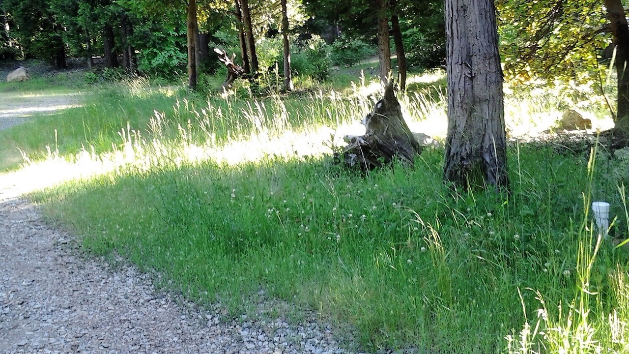 Photo of Outdoor in Nevada City
